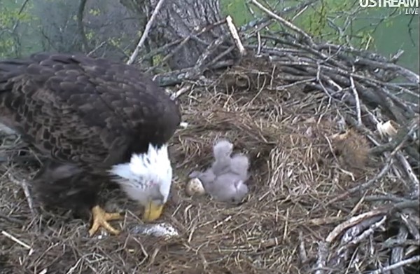 ScreenHunter_22 Mar. 31 12.27.jpg